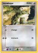 louvattaque