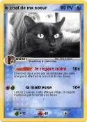 le chat de ma