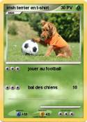 irish terrier en t-shirt irish terrier