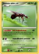 fourmis ailée
