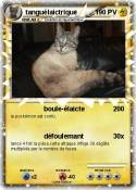tanguélaictrique tanguélaictrique