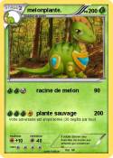 melonplante.