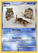 hamster hamster