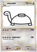 mineturtle
