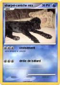 sharpeï-caniche