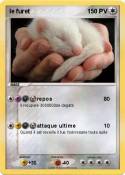 le furet