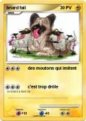 briard fail
