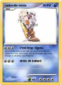 cadoodle mixte