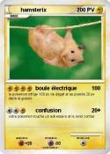 hamsterix hamsterix