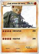 chat armee de