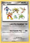 Carte Equipe