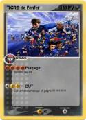 TiGRE de