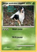 berger australien déguisé berger