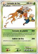 tornade de feu