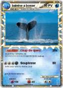 baleine a bosse