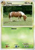 Poney