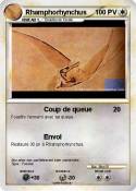 Rhamphorhynchus