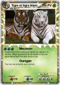 Tigre et tigre blanc Tigre et tigre