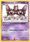 basenji jumeaux