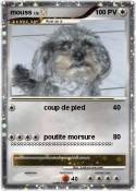 mouss