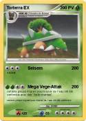 Torterra EX