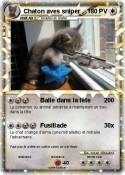 Chaton aves