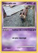 loup-carlin mix loup-carlin mix