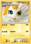 petshop lapin