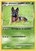 berger allemand