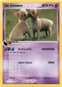 les chiwawa 9