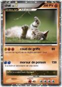 chat