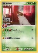 Picatchou 