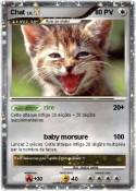 Chat Chat