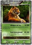 tigre de feu