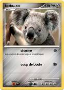 koala
