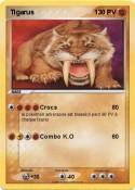 Tigarus