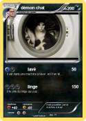 démon chat