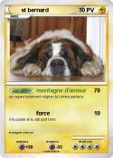 st bernard