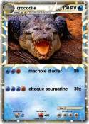 crocodile