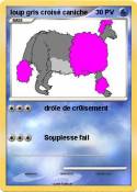 loup gris