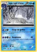 tiger fight