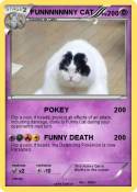 FUNNNNNNNY CAT
