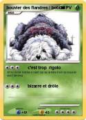 bouvier des