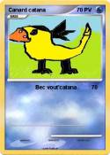 Canard catana