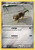 petit chien