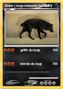 Didier ( loup-rottweiler hybride ) Didier (