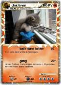 chat tireur chat tireur