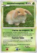 moustachoulapinou
