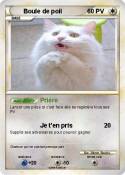 Boule de poil
