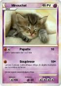 Minouchat